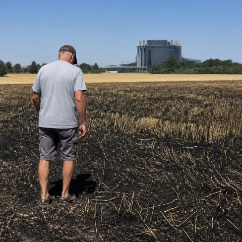 Bruxelles orchestrerait la canicule pour affamer les agriculteurs français
