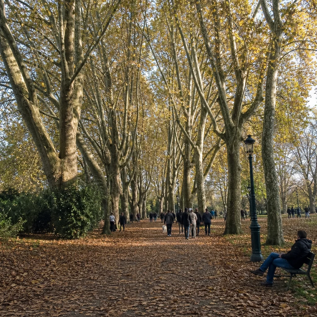 Paris va raser ses plus vieux platanes pour construire un parking à trottinettes